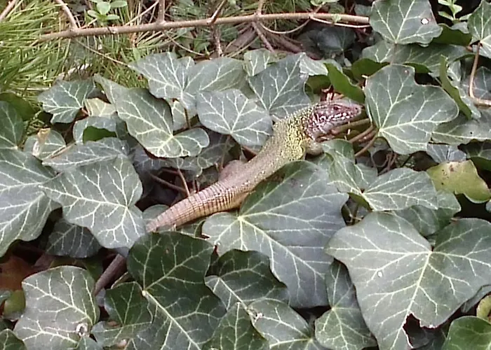 Gastehaus Egger Bed & Breakfast Emmersdorf an der Donau