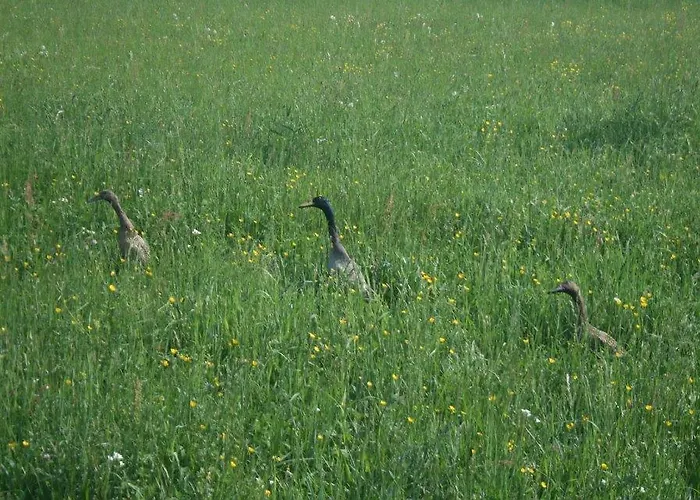 Gastehaus Egger Emmersdorf an der Donau